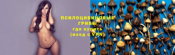 винт Дмитров