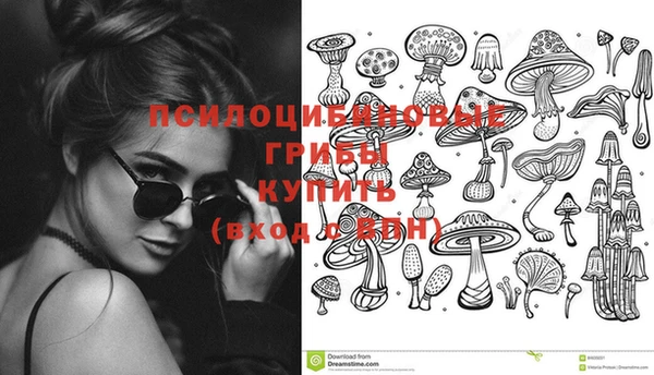 мяу мяу мука Абинск