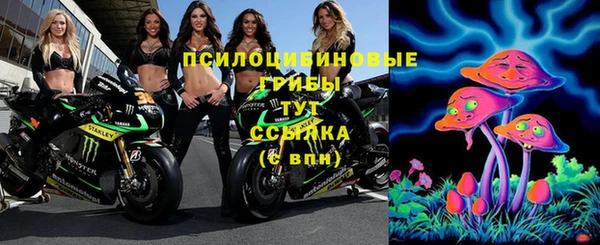 мяу мяу мука Абинск