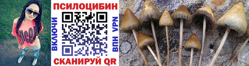 нарко площадка Telegram  даркнет сайт  Бокситогорск  Псилоцибиновые грибы прущие грибы 